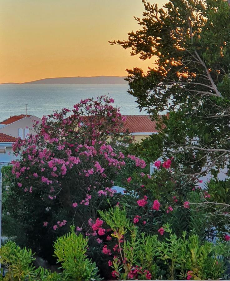 Villa Aquamarine Apartments Novalja Dış mekan fotoğraf